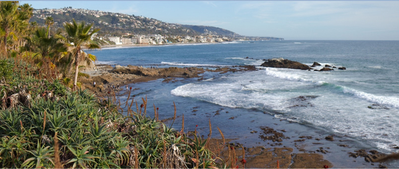 Orange County Mediator
